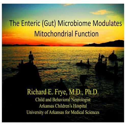 Microbiome and Mitochondria