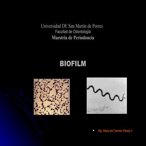 BIOFINDER CIP: SONDA DETECCION BIOFILMS EN CIRCUITOS CERRADOS | PDF