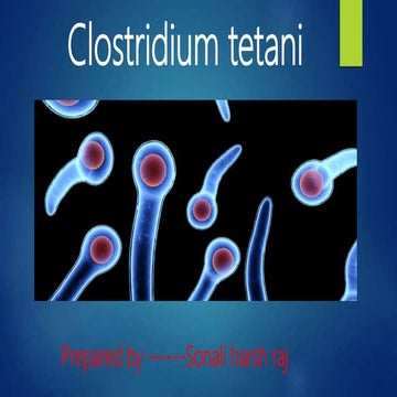 clostridium tetani