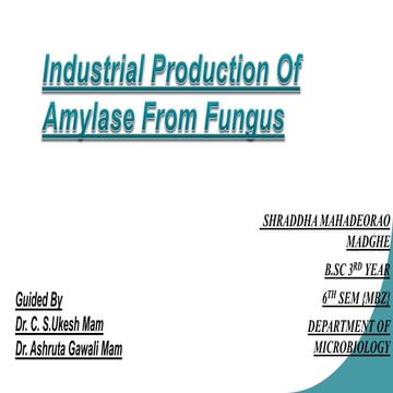 INDUSTRIAL PRODUCTION OF AMYLASE FROM FUNGUS