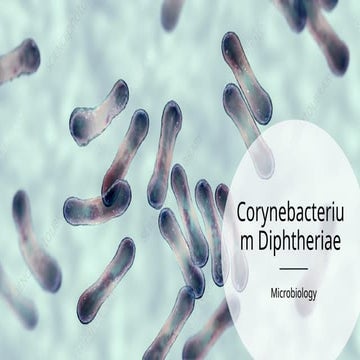 Microbiology Presentation - Diphtheriae.pptx