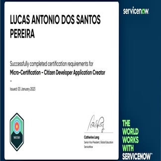 Application Developer Process Creator | PDF