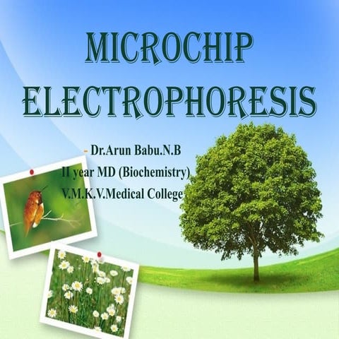 Microchip electrophoresis