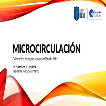 Microcirculación