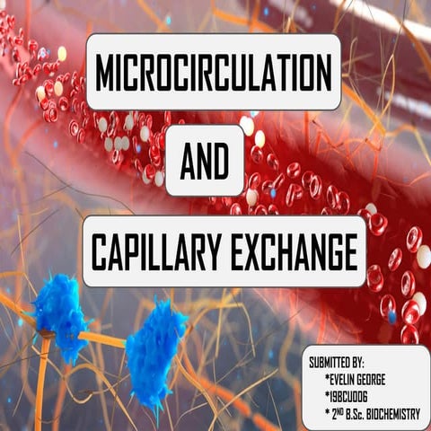 Microcirculation and Capillary exchange