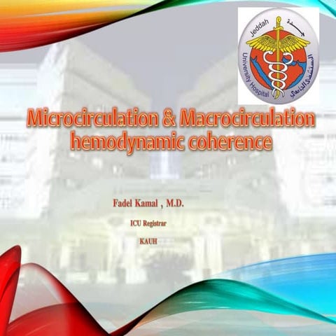 Microcirculation vs macrocirculation
