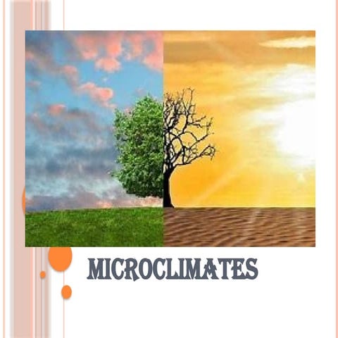 microclimates.pptxmicroclimates.pptxxxxx