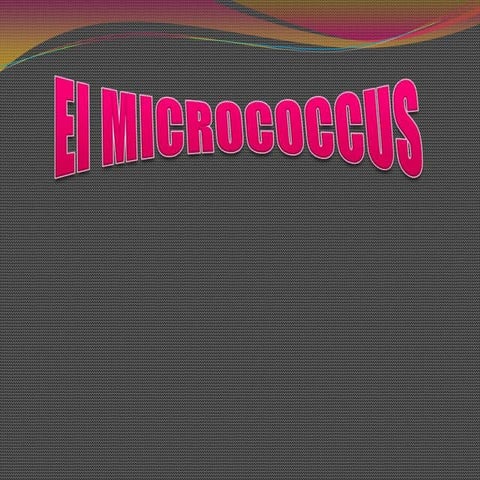 Micrococcus | PPTX