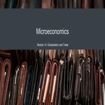 Microeconomics_14_Globalization and Trade.pptx