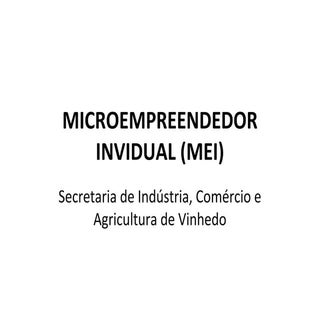 Microempreendedor Invidual (MEI)