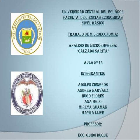 Microempresa calzado sarita