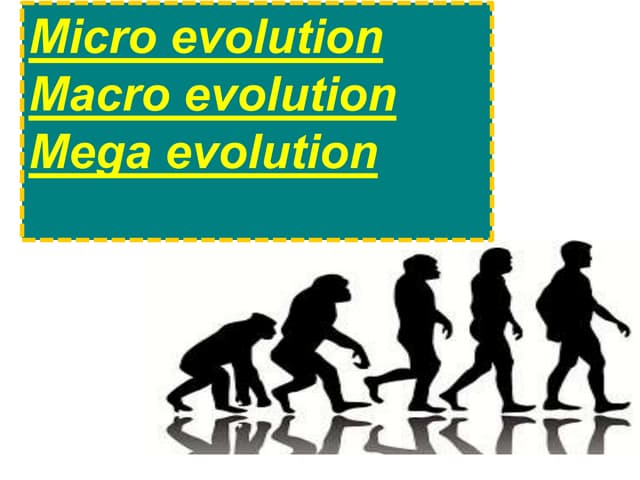 Micro evolution,macro evolution or mega evolution ppt
