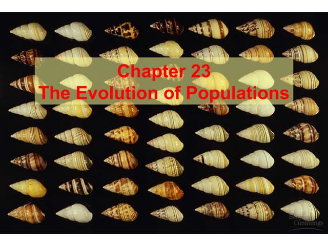 Microevolution hardy weinberg