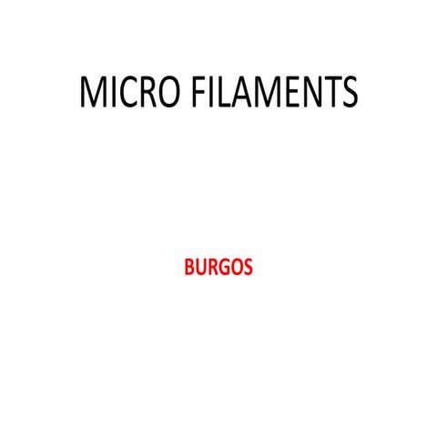 Micro filaments