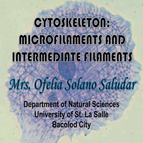 Microfilaments and intermediate filaments