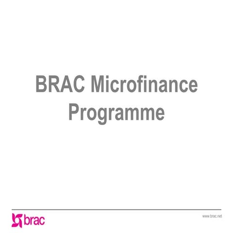 Microfinance Presentation for Board Final 2012 | PPTX