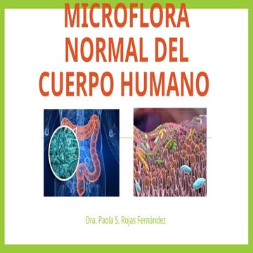 MICROFLORA NORMAL DEL CUERPO HUMANO.pptx