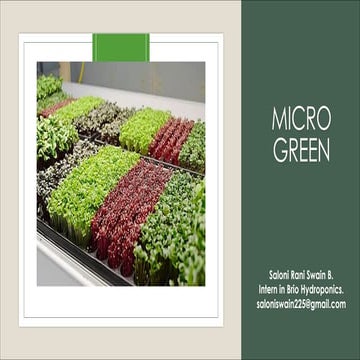 Vibrant Microgreens and Health Importance .pdf