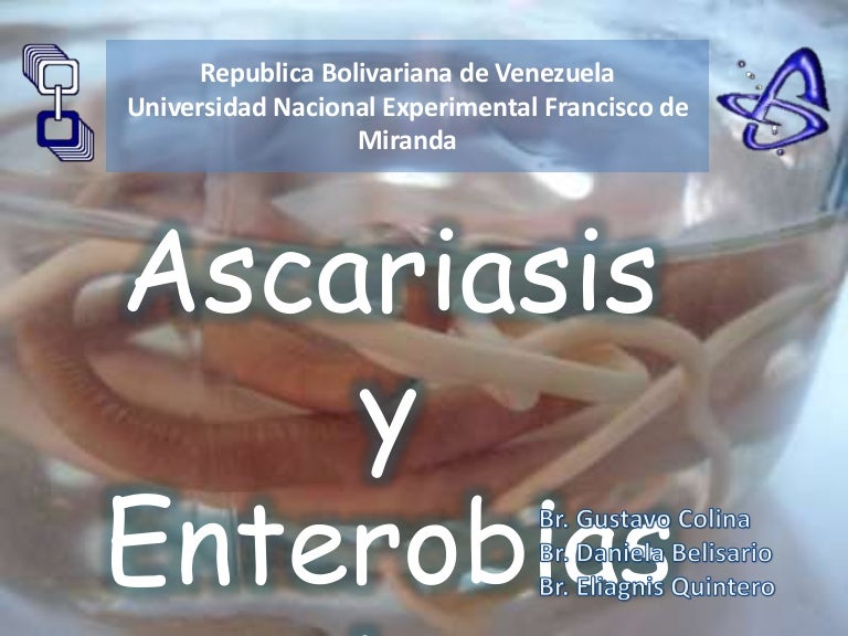 enterobiasis ascariasis ankylostomiasis noncatorosis