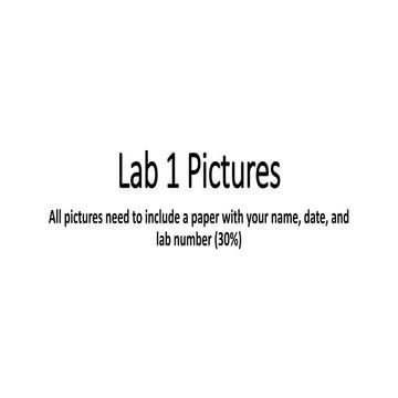 Micro Lab Pptx Lab 1 Picturesoflabexperiments A Miller Pptx