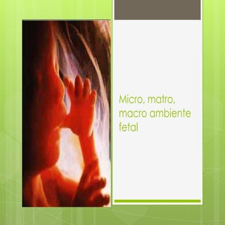 Micro, matro, macroambiente fetal.