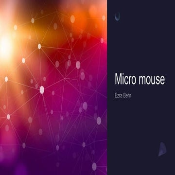 Micro mouse.pptx