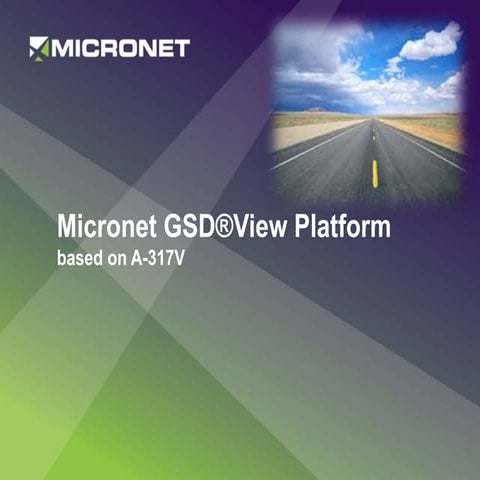 Micronet GSD(r)View presentation | PPTX
