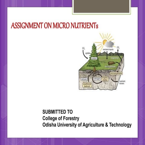 PLANT Micro nutrient