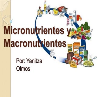 Micronutrientes y macronutrientes