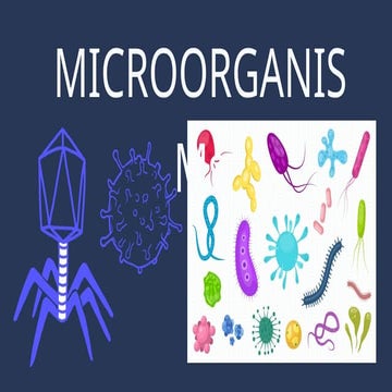 MICROORGANISM and VIRUSES in the world.pptx