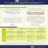 Microorganism identification methods | PDF