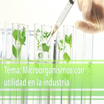Utilidad De Los Microorganismos En La Industria Alimenticia | PPTX
