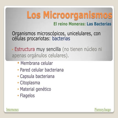Microorganismos