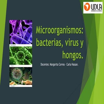 Microorganismos virus bacterias hongos
