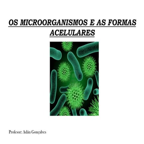 Microorganismos
