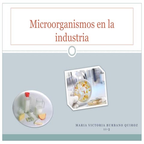 Utilidad De Los Microorganismos En La Industria Alimenticia | PPTX