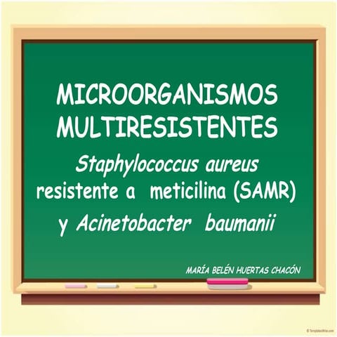 Microorganismos multiresistentes (marsa y acinetibacter baumannii)