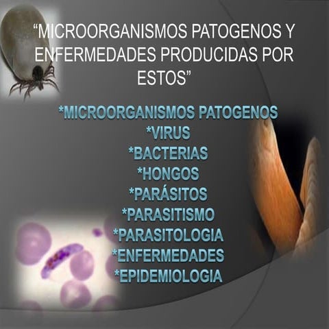 Microorganismos patogenos