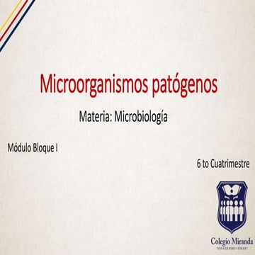 Microorganismos patogenos