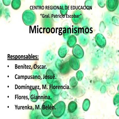 Microorganismos intestinales