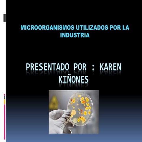 Microorganismos presentacion karen