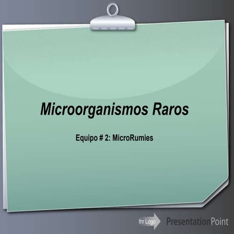 Microorganismos Raros | PPTX