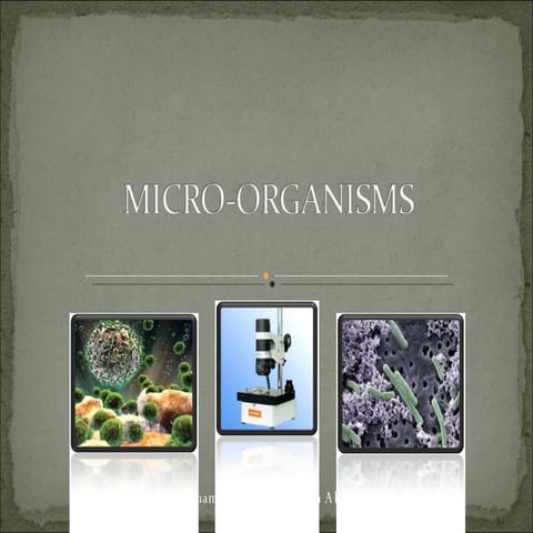 Micro Organisms