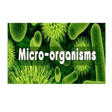 Microorganisms