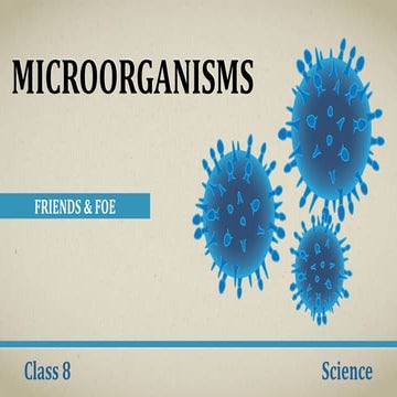 Microorganisms Class 8