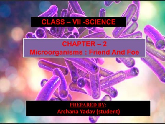Microorganisms Class 8 | PPT