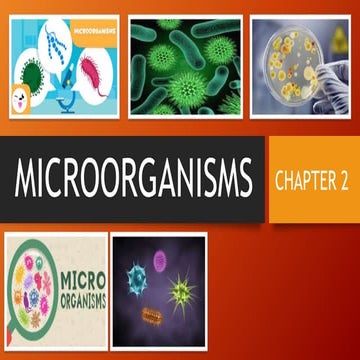 microorganisms.pptx CLASS 8 2ND CHAPTER .. | PPT