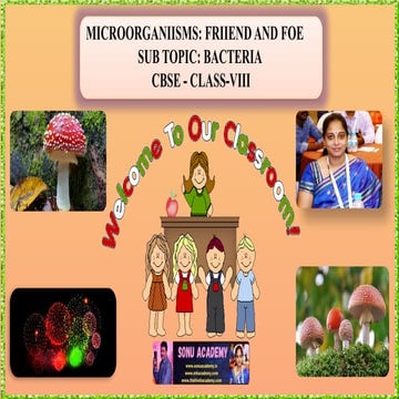 Microorganisms: Friend and Foe – Bacteria  Chapter-2 Class 8- CBSE