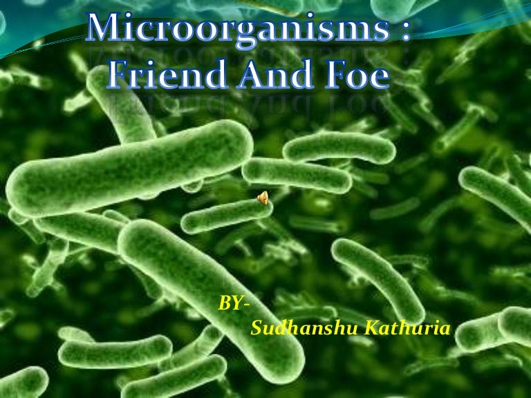 Microorganisms (3) (2)