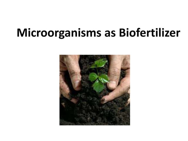 Microorganisms as biofertilizer